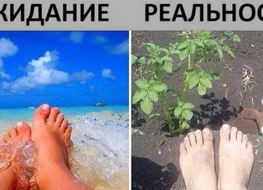 Летние анекдоты