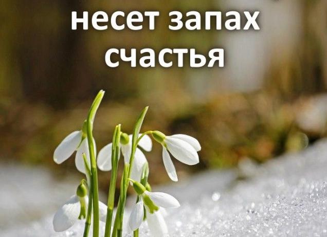 Весенний ветер несет запах счастья. цитаты и афоризмы про весну Весенний ветер несет запах счастья. цитаты и афоризмы про весну