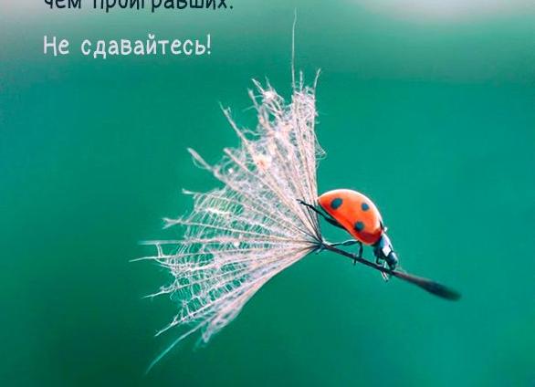 Картинки позитивные