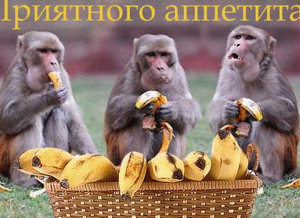 Пожелания приятного аппетита прикольные короткие
