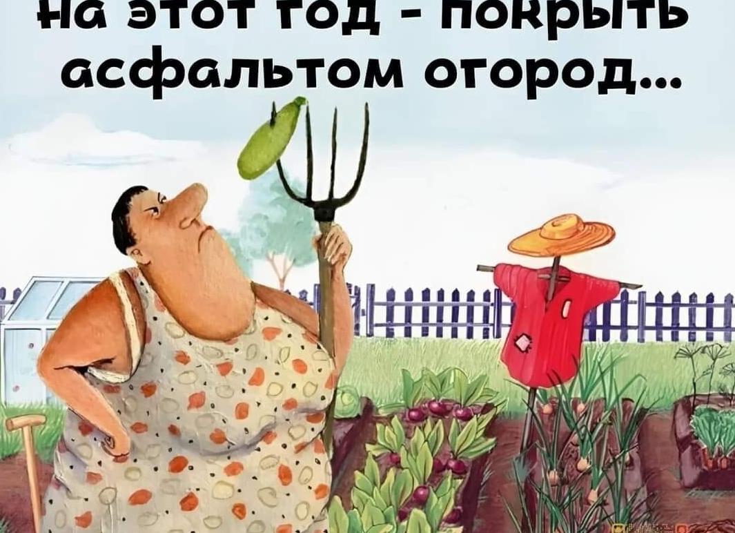 Открытки про огород смешные с юмором