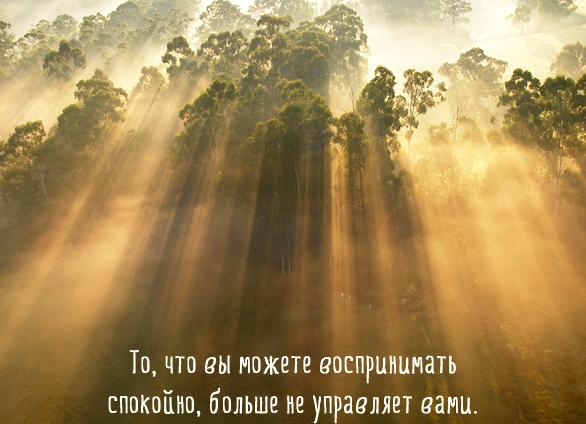 Короткие позитивные цитаты