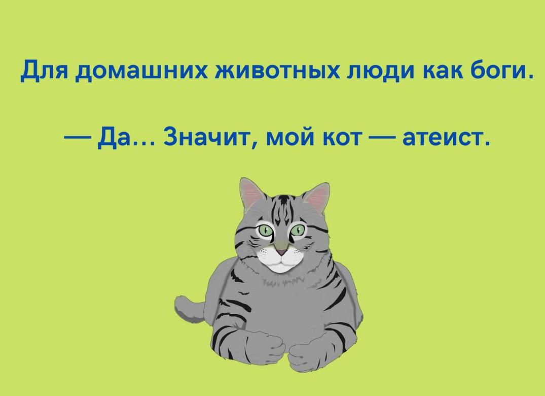 Шутки про котов