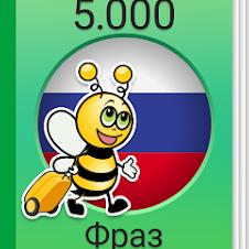 Более 500 цитат для instagram: топ самых лучших