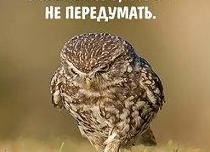 На работу как на праздник картинки