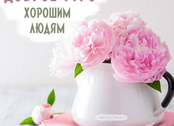 Картинки красивые прикольные