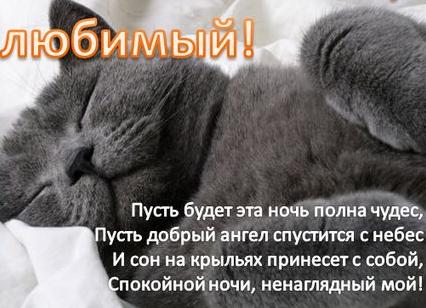 Красивые пожелания спокойной ночи любимому парню