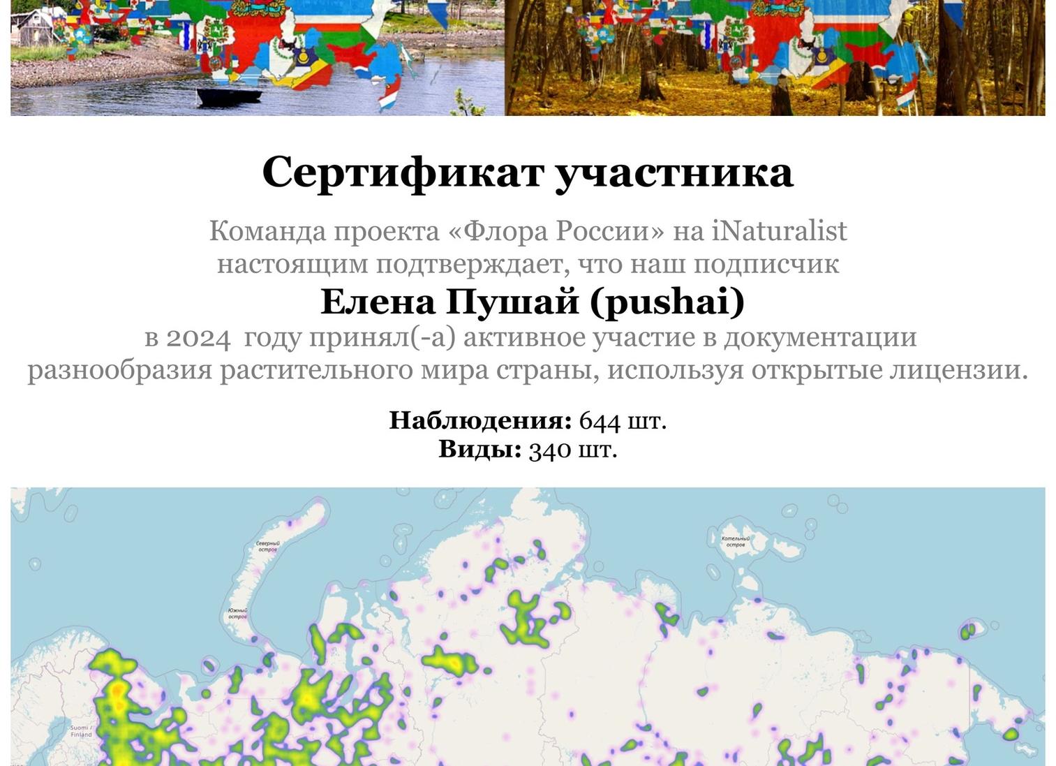 Картинки моей малой родины (38 фото). малая родина нарисовать