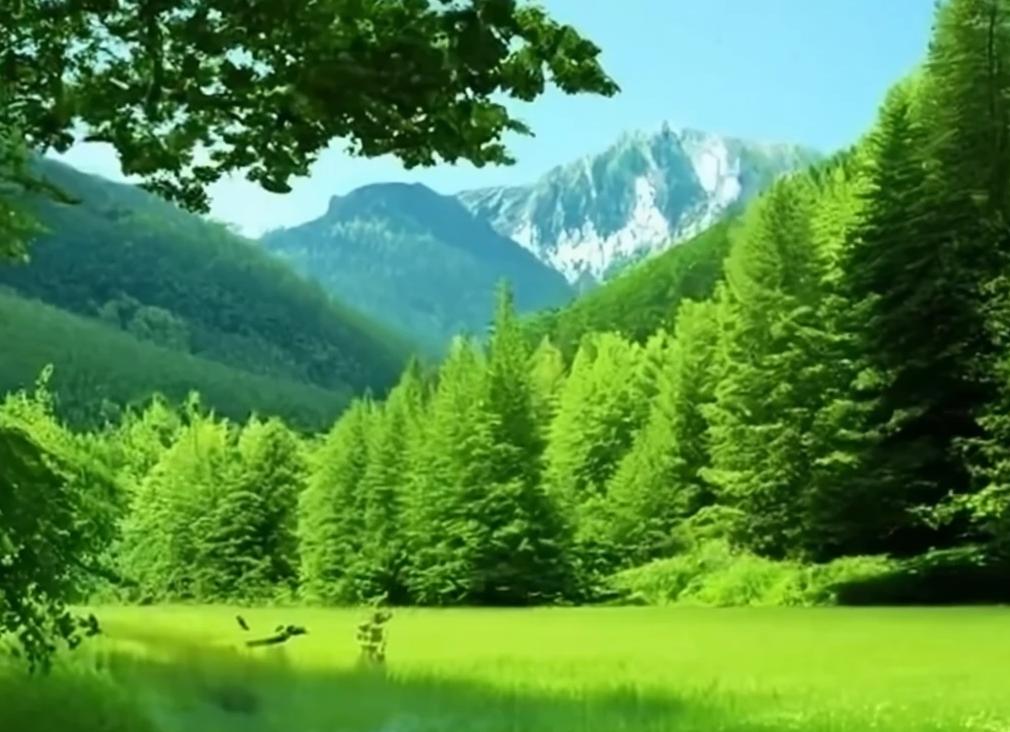 Картинки лето природа