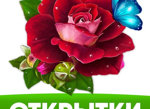 Бесплатные картинки любимому на расстоянии «с добрым утром» для whatsapp