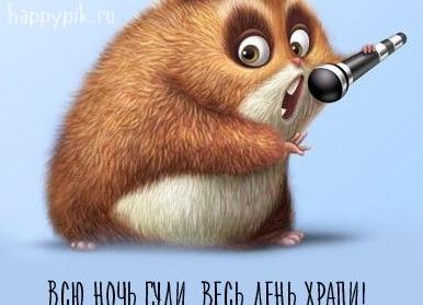 Прикольные поздравления с днем рождения женщине