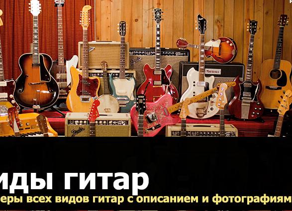 Виды гитар. примеры с описанием и фотографиями всех видов гитар