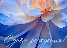 250+ открыток с днем рождения девушке, красивые поздравления