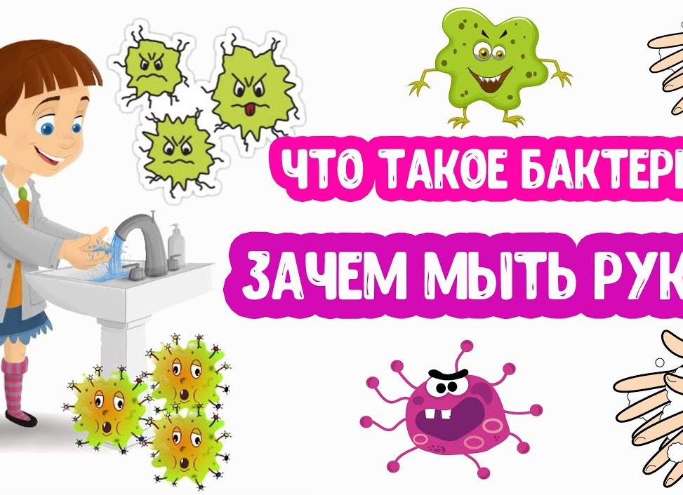 Картинки и видео про микробов для детей