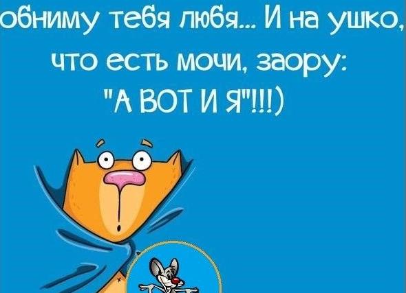 Смешные пожелания спокойной ночи