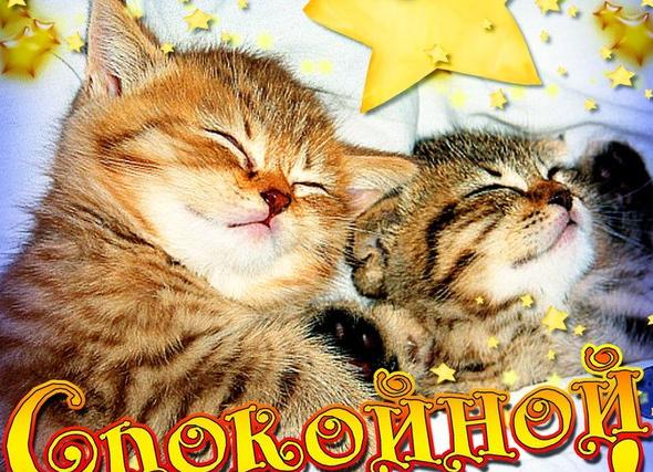 Короткие смс пожелания спокойной ночи