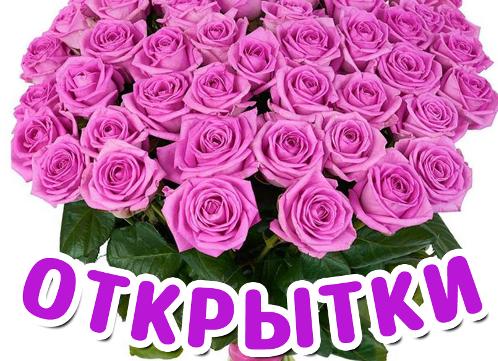 Открытки бесплатно