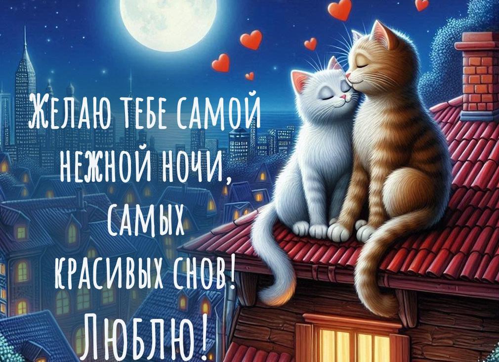 Пожелания любимому спокойной ночи в прозе
