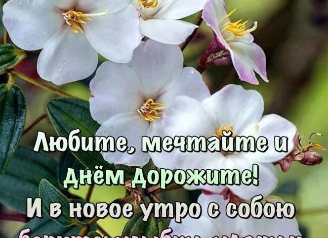 Доброе утро и хорошего дня новые картинки