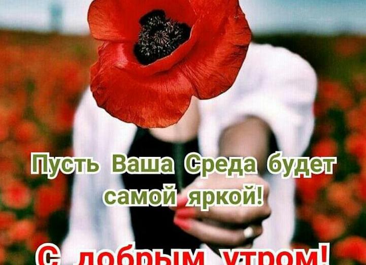 Гифки пожеланий хорошей среды