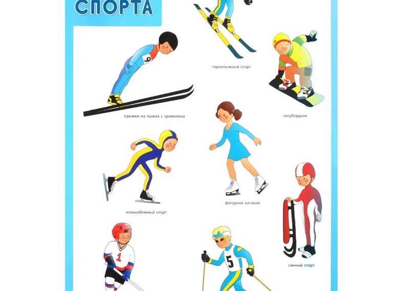 Зимние и летние виды спорта (картинки для детей)