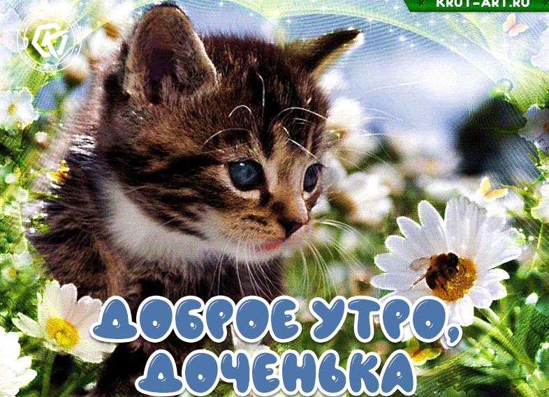 Пожелания с добрым утром дочке