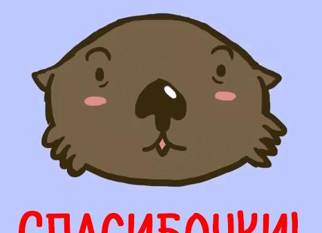 Картинки с анимацией и надписями «спасибо за поздравление!»