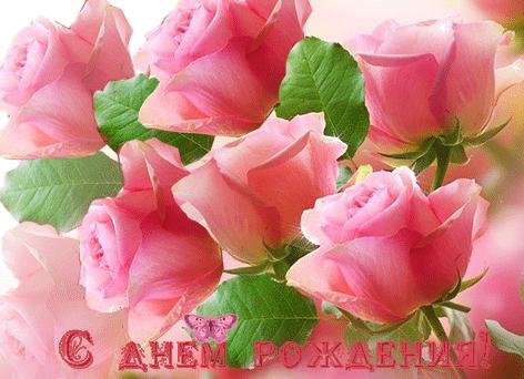 Гифки с днём рождения роза