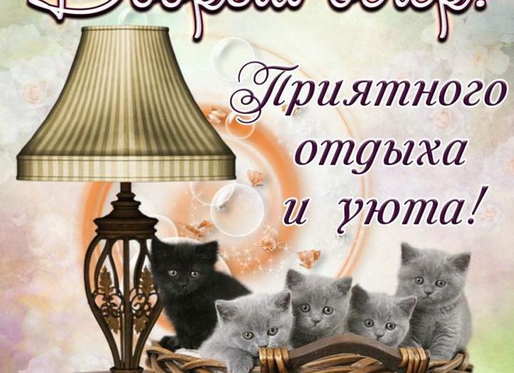 Прикольные стихи про добрый вечер