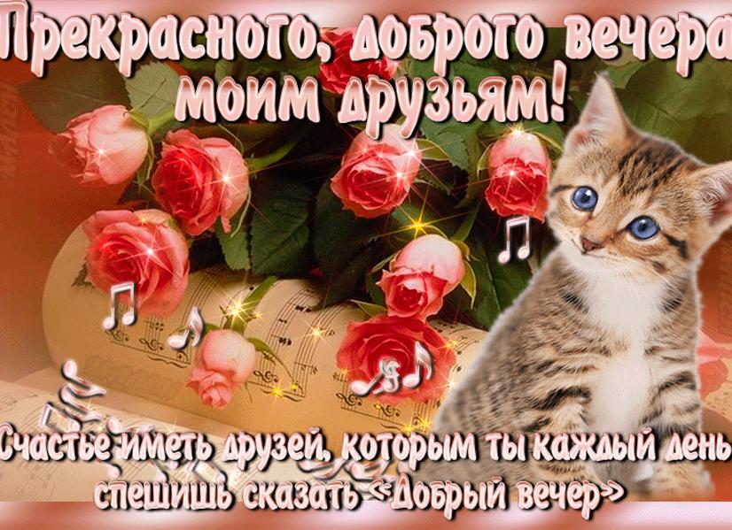 Пожелания добра и красивые открытки с добрыми пожеланиями