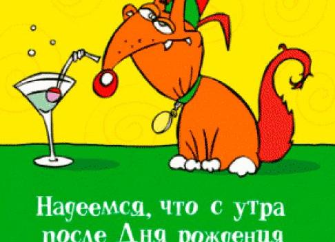 Прикольные картинки с днём рождения другу