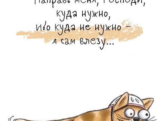 Смешные картинки с добрым утром