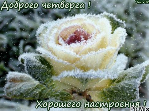 Гифки «хорошего четверга!»