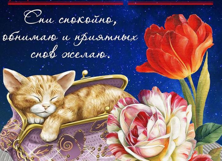 Лучшие пожелания и картинки «спокойной ночи»
