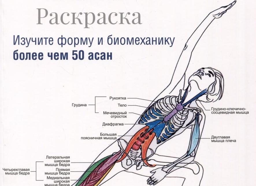 (+50 фото) девушки с широкими бедрами