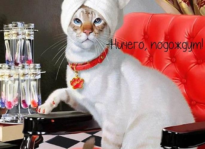 700+ позитивных картинок «доброе утро» (+ с юмором)