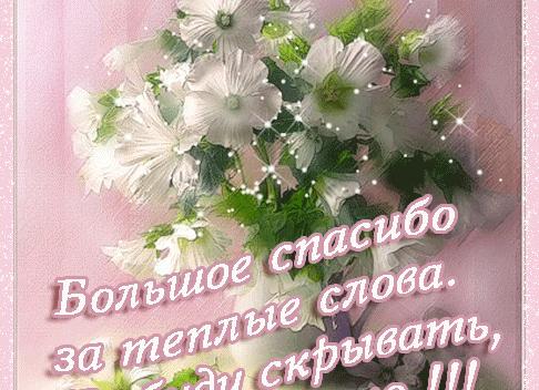 Анимашка спасибо за поздравление. гифки «спасибо за поздравление». подборка gif анимации. подборка гифок «спасибо большое»