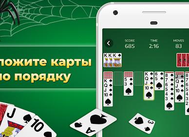 Виды пауков. описание, названия, фото, особенности строения и поведения видов пауков