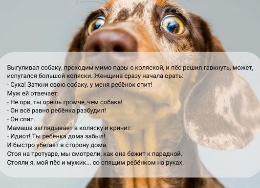 Смешные истории из реальной жизни людей: короткие, смешные до слез