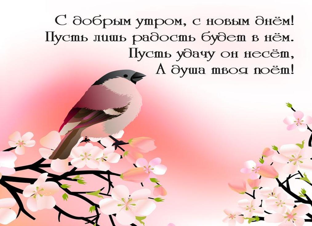 Стихи с добрым утром