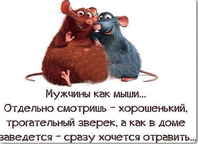 Юмор в картинках со смыслом