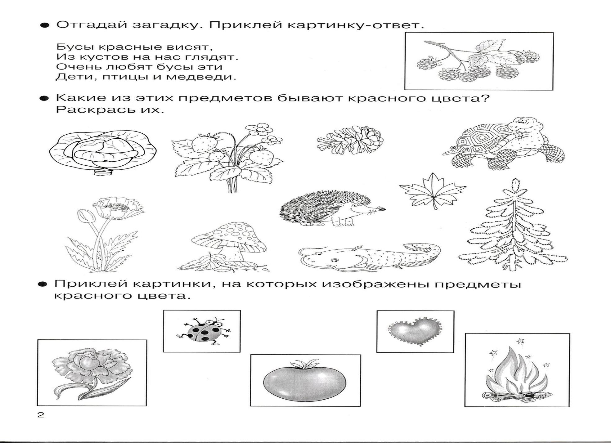 Загадки о цветах с ответами для детей 7