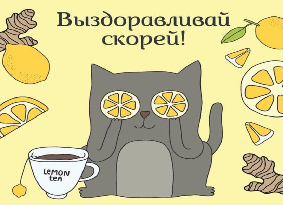 Картинки «поправляйся скорее!» 50 прикольных изображений