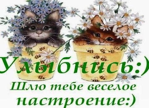 Веселая картинка для поднятия настроения