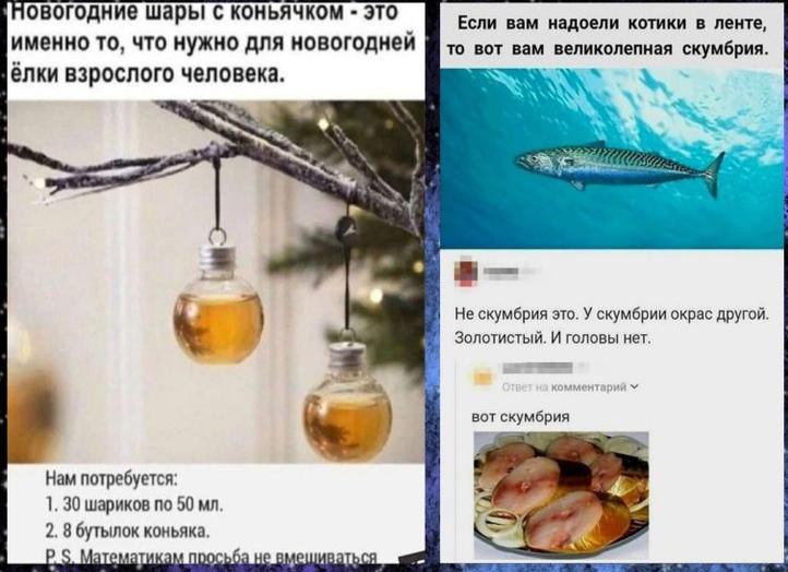 50+ самых остроумных и смешных комментариев из соцсетей!