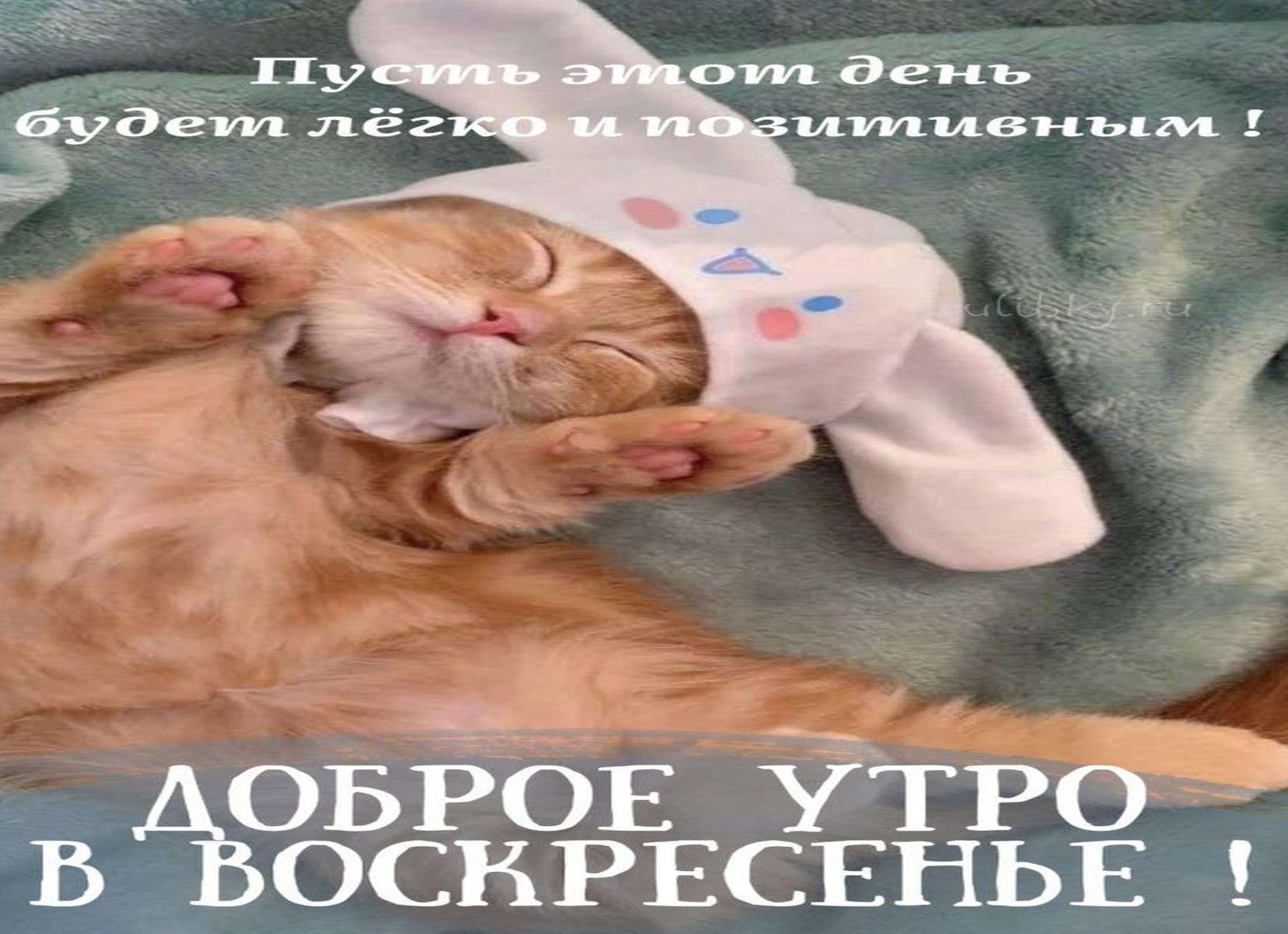 Воскресенье прикольные картинки