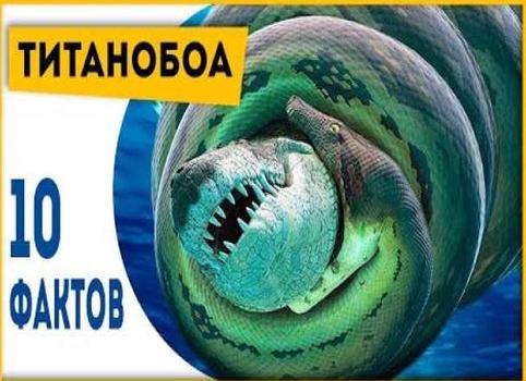 10 фактов о вымершей змее титанобоа