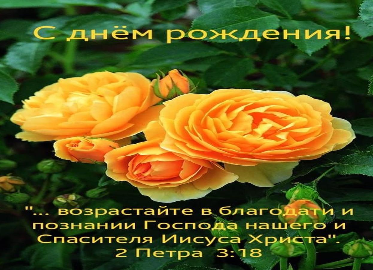 Поздравление юлии своими словами с днем рождения