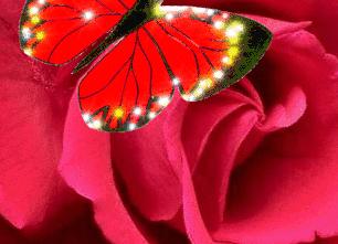 19 признаков того, что вы – нарцисс и даже не подозреваете об этом