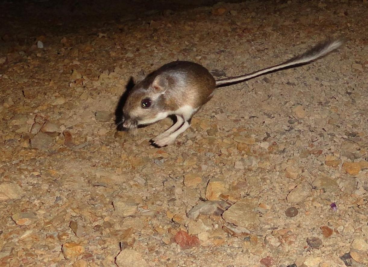 Как улучшить память? 9 полезных советов на каждый день